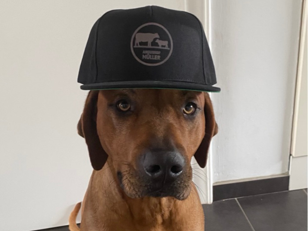 Er trägt ein Cap mit Angushof-Müller-Logo